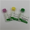 Retinol Binding Protein 4 (RBP4) (Mouse) Recombinant