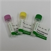 Soluble Tie-2 (Human)/Fc Recombinant (HEK293 cell derived)