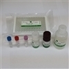 HGF (Hepatocyte Growth Factor)(Human) ELISA Kit